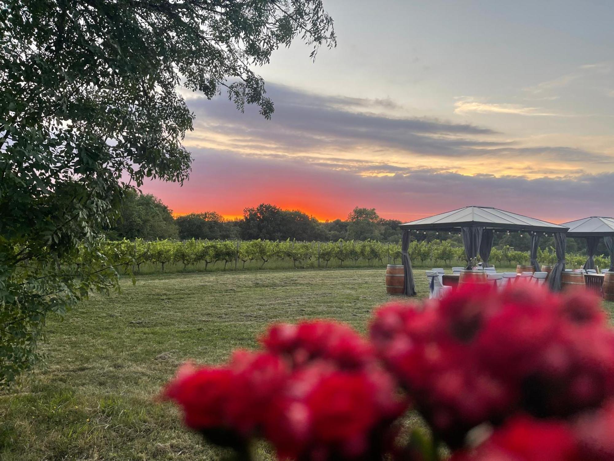 Bordeaux Chateau Lafleur Quinsac  Bagian luar foto